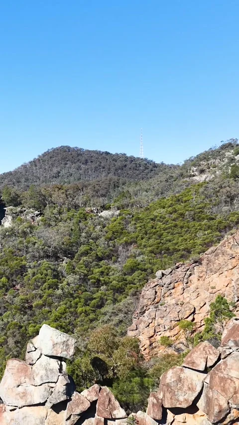 Wedge-Tailed Eagle Soaring Over The Breadknife in Warrumbungle National Park Stock Footage 341649573