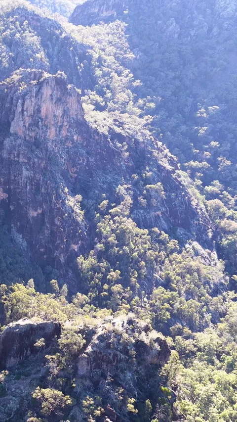 Wedge-Tailed Eagle Soaring Over Rugged Cliffs in Warrumbungle National Park Stock Footage 341836799