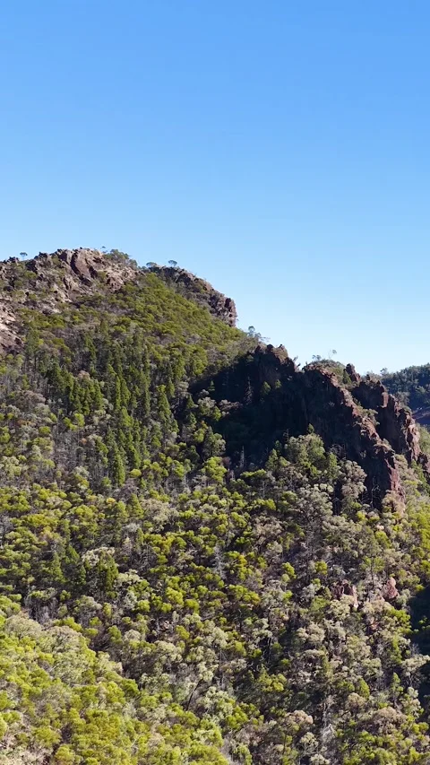Wedge-Tailed Eagle Soaring Over Warrumbungle National Park Mountain Range Stock Footage 341905535