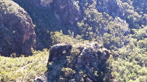 Wedge-Tailed Eagle Soaring Over Warrumbungle National Park Mountain Range Stock Footage 341908490