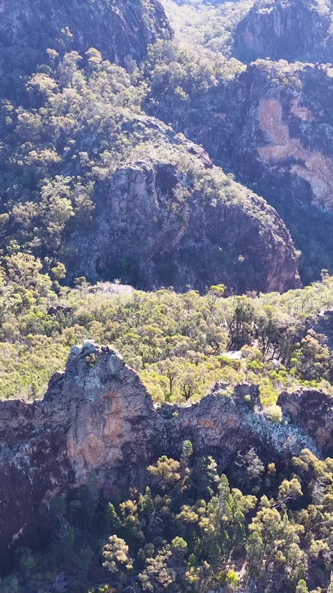 Wedge-Tailed Eagle Soaring Over Warrumbungle National Park Mountain Range Stock Footage 342886244