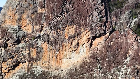 Wedge-Tailed Eagle Soaring Past The Breadknife Rock Formation Stock Footage 341649271