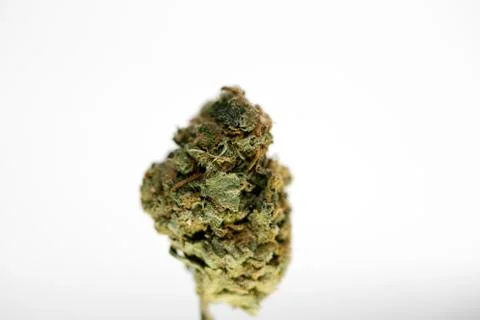 Weed bud lemon bubble macro background high quality fifty megapixels prints Stock Photos