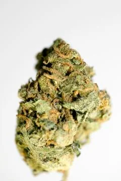 Weed bud lemon bubble macro background high quality fifty megapixels prints Stock Photos