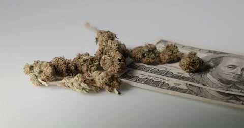 Weed Buds on top of 100 Dollar banknotes. Drugs and Cash money. Stock Footage 147947490