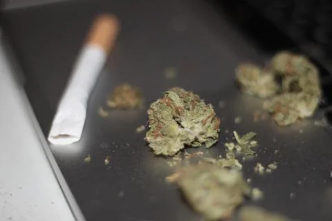 Weed with Cigarette on Laptop Stock Photos