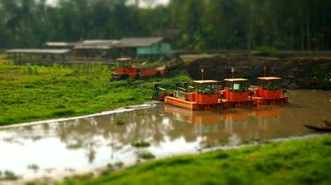 Weed cleaning machine 스톡 사진