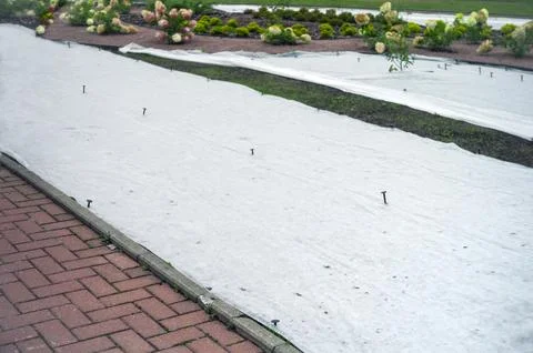 Weed control cover Photos
