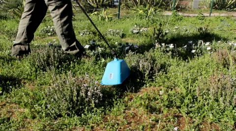 Weed Control Herbicide Spraying C Video stock 49294882