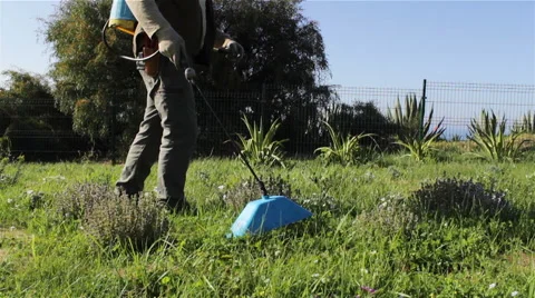 Weed Control Herbicide Spraying A Stock Footage 49291509