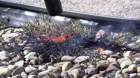 Weed Control with Propane Torch Stock Footage 139552273