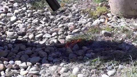 Weed Control with Propane Torch Stock Footage 139552278