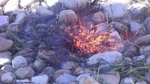 Weed Control with Propane Torch Stock Footage 139552279