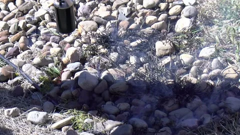 Weed Control with Propane Torch Stock Footage 139552284