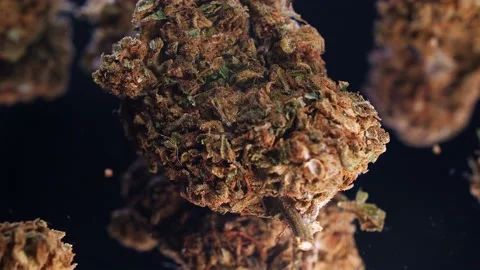 Weed Stock Footage 239148974