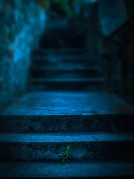Weed growing on steps with night effect and defocused dark and moody blue b.. Foto stock