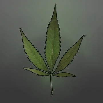 Weed Leaf Stock Photos
