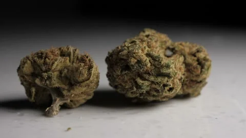 Weed Marijuana: Tilt Down Macro 库存影片 220084608