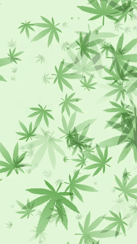 Weed pattern. Loop animation cannabis green leaf, medical legalized marijuana Stock Footage 302307978