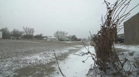 Weed pulsates during a surface snow blizzard Stock Footage 40321529