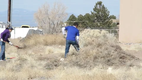 Weed Removal Stock Footage 1089510