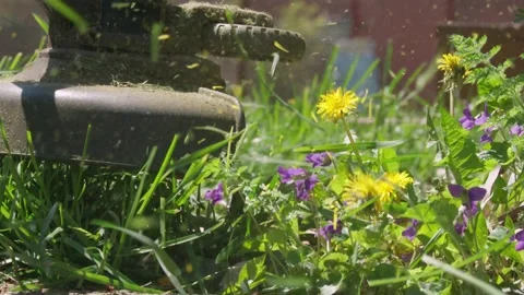 Weed Wacking in Ultra Slow Motion with Dandelions other floral weeds long grass Stock Footage 130220422