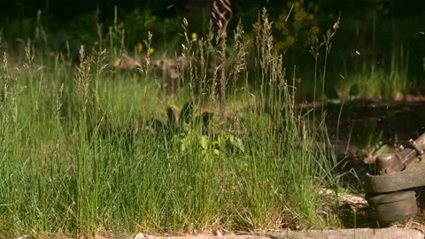 Weed Whacker Slow Motion 스톡 동영상 154518190