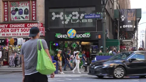 Weed World Stock Footage 205409313