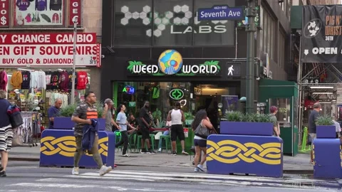 Weed World Stock Footage 205409319