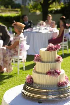 Weeding Cake With Guests In Background Fotos de archivo