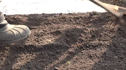 Weeding on Dry the Ground Plants. 4K UltraHD, UHD Vídeos de archivo 48624475