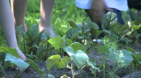 Weeding the garden for children Stock-Footage 21763945