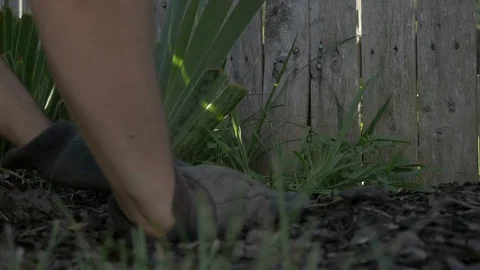 Weeding Garden 스톡 동영상 116844187