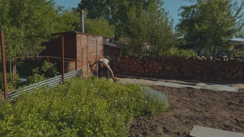 Weeding the ground, weeding the soil, clean the soil of weeds Stock Footage 336372371