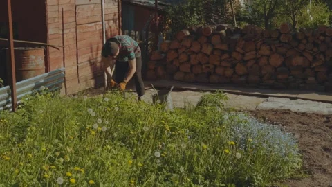 Weeding the ground, weeding the soil, clean the soil of weeds Video stock 336372393