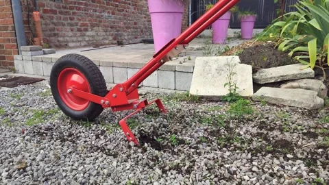 Weeding peebles by hoeing, ground level view Stock Footage 245141952