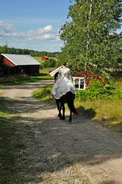 Weeding Stock Photos