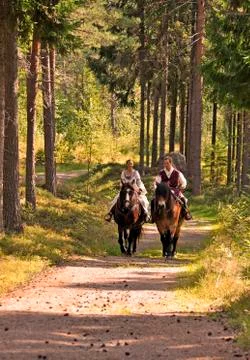 Weeding Stock Photos