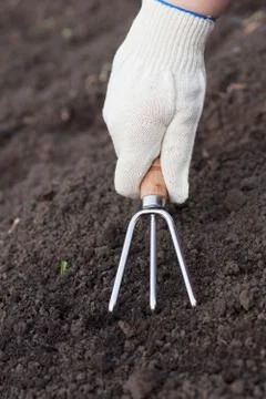 Weeding Stock Photos