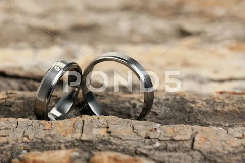 Weeding rings in bark of tree Stock Photos
