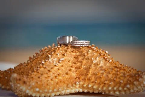 Weeding rings Foto stock