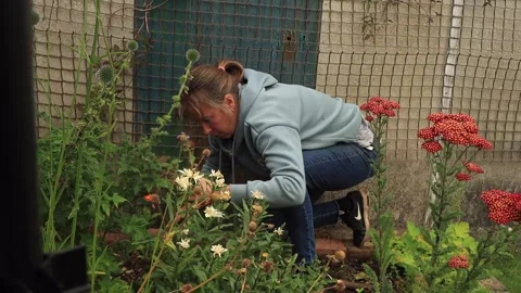 Weeding slow motion Stock Footage 246392564