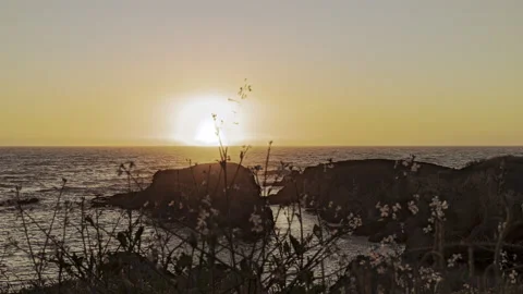 Weeds blowing in foreground clear sky ocean sunset timelapse Stock Footage 218043976