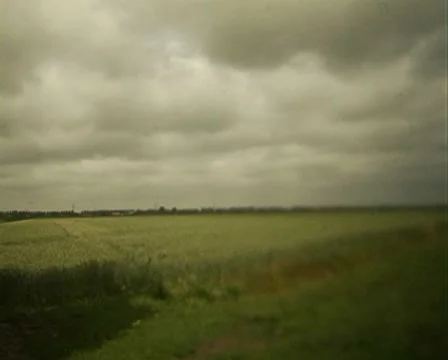 Weeds Stock Footage 7750036