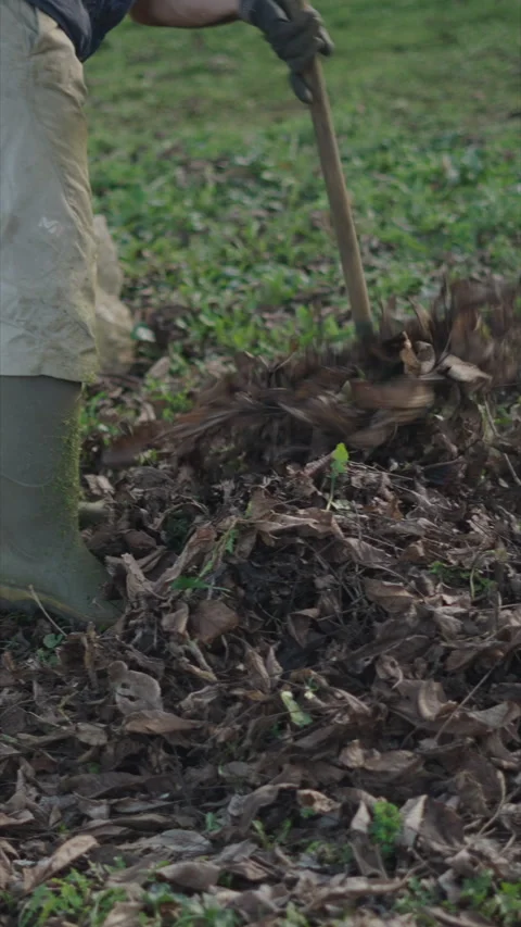 The weeds on the ground are picked by a unrecognizable man Video stock 276231573