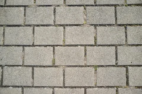 Weeds Growing Through Cracks in Paved Slabs Stock Photos
