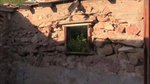 Weeds in the window Stock Footage 74220456