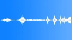 Weedwacker,Gas,Moves,Sporatic,Revs Sound Effect