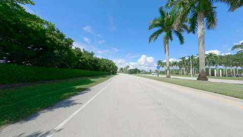 Weekend drive through Weston Florida, rear view driving plates Vidéo 284781576