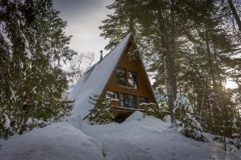 Weekend in the forest in winter Stock Photos